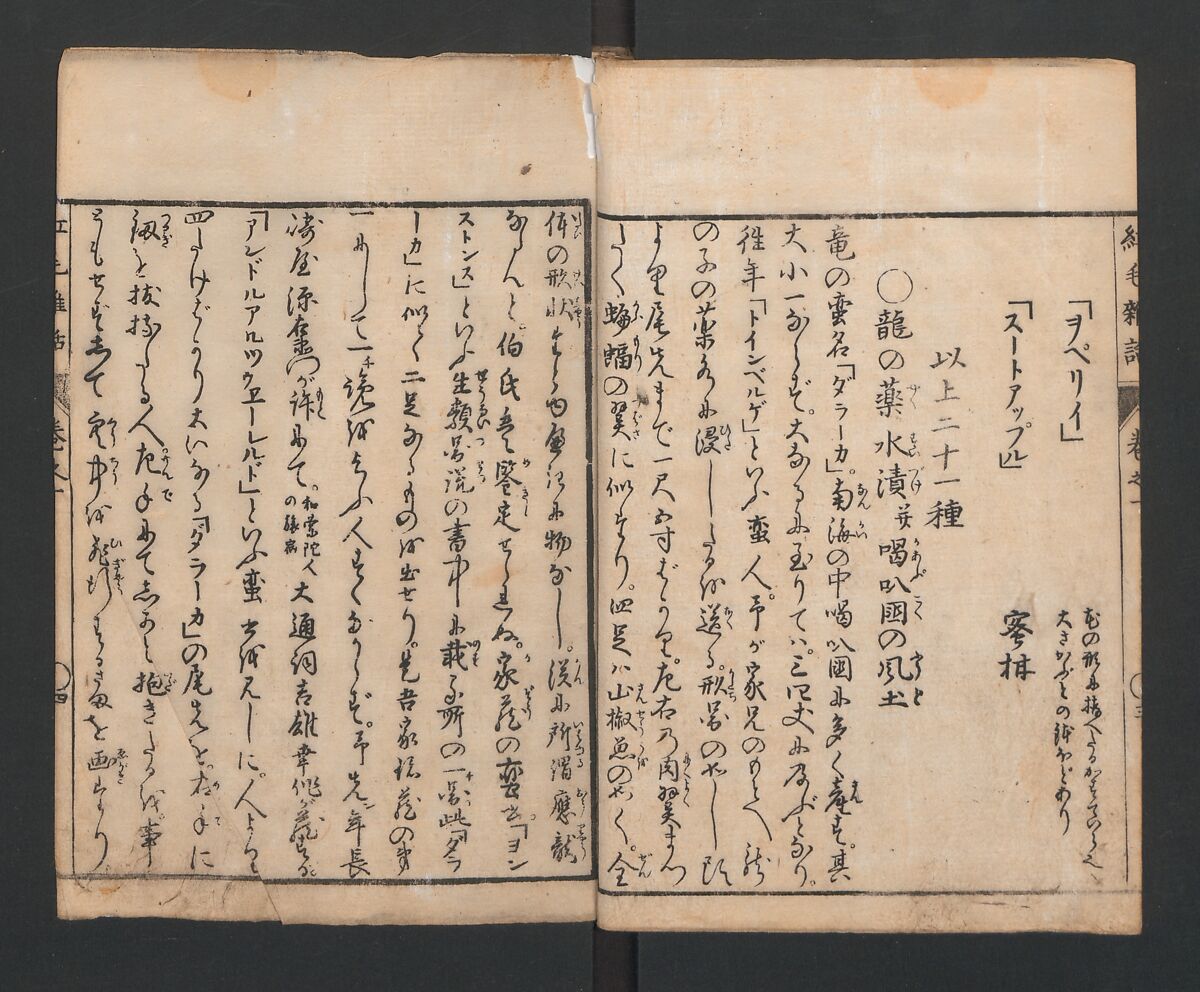 Encyclopedia of Western Art (Kōmō zatsuwa) 紅毛雑話, Morishima Chūryō 森島中 (Japanese, 1754–1810), Ink on paper, Japan