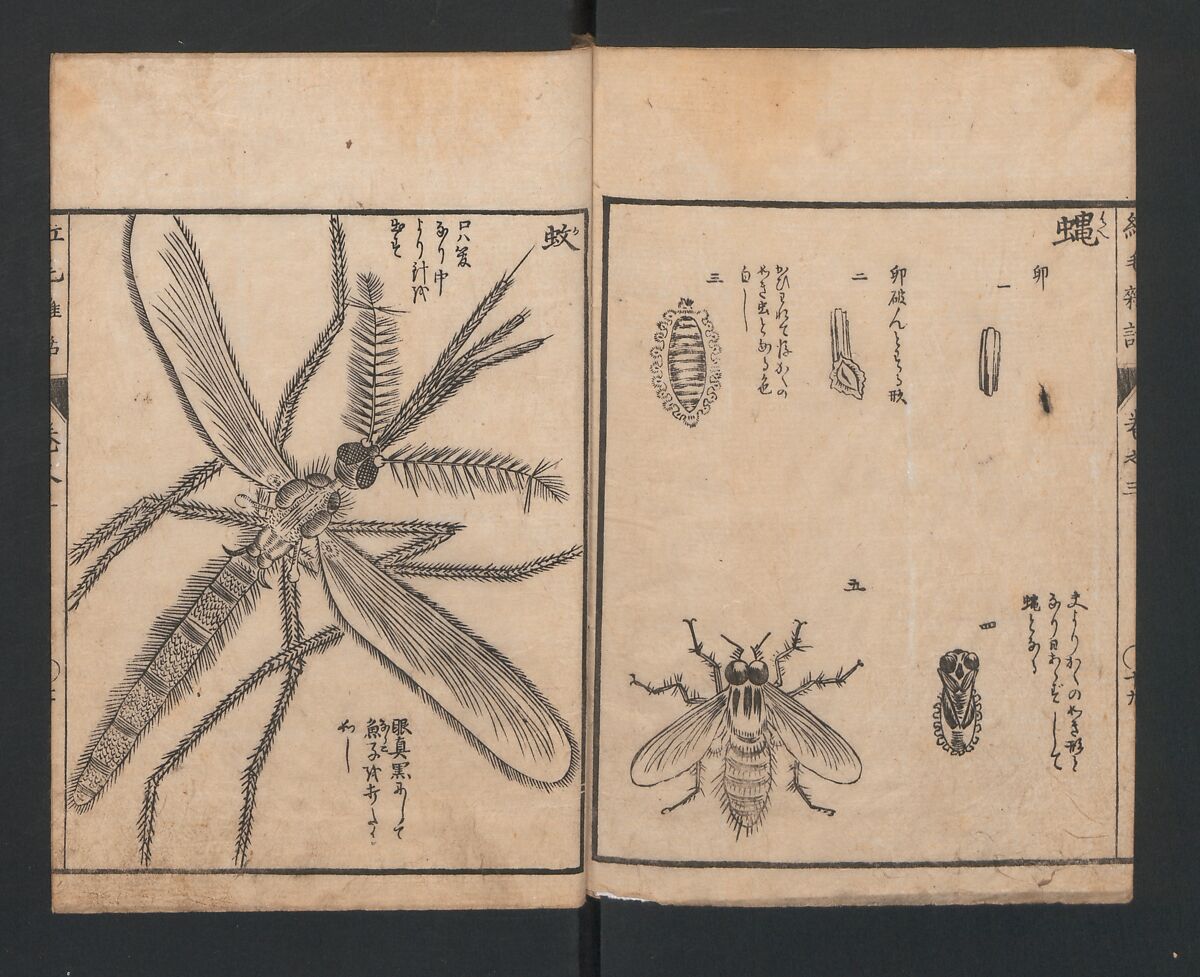 Encyclopedia of Western Art (Kōmō zatsuwa) 紅毛雑話, Morishima Chūryō 森島中 (Japanese, 1754–1810), Ink on paper, Japan