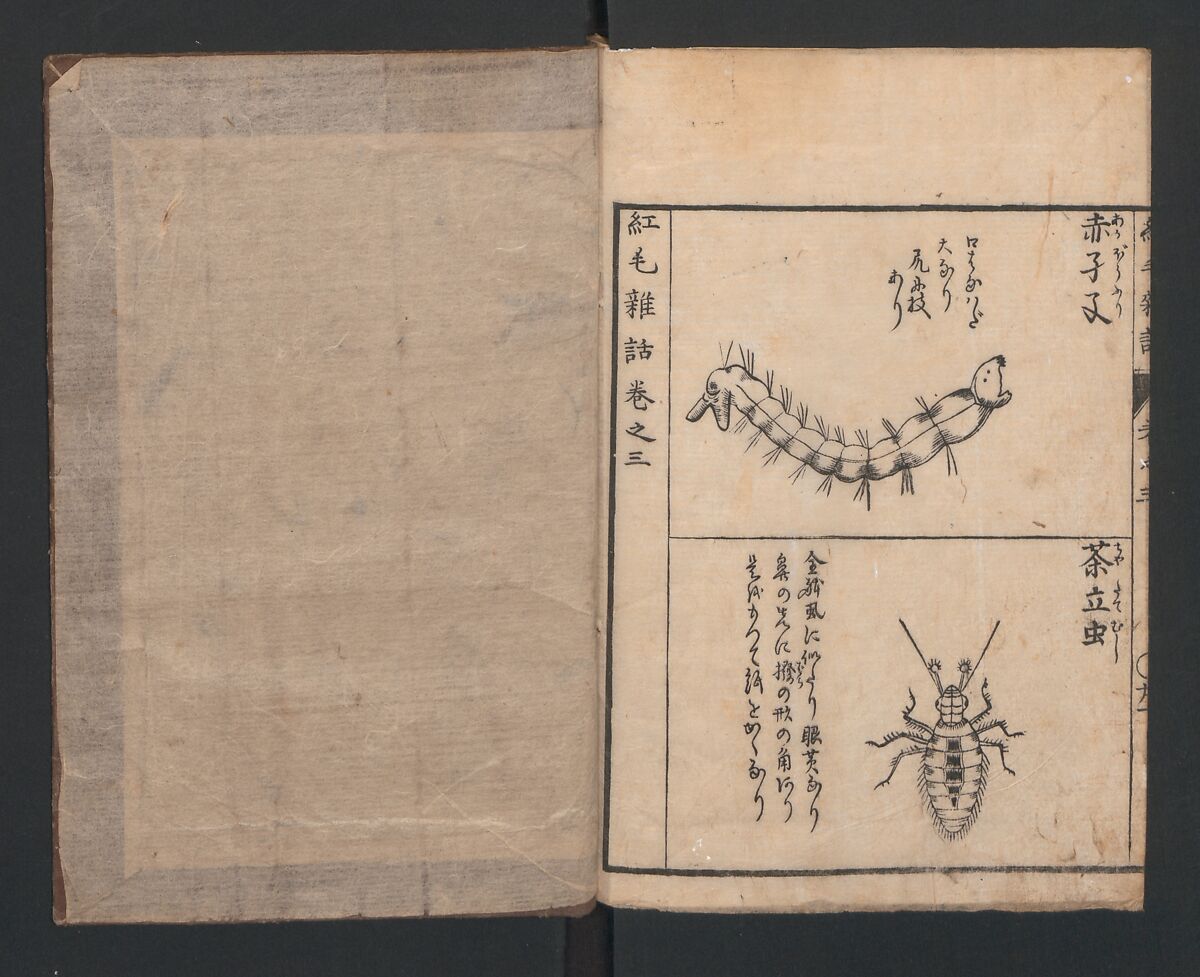 Encyclopedia of Western Art (Kōmō zatsuwa) 紅毛雑話, Morishima Chūryō 森島中 (Japanese, 1754–1810), Ink on paper, Japan