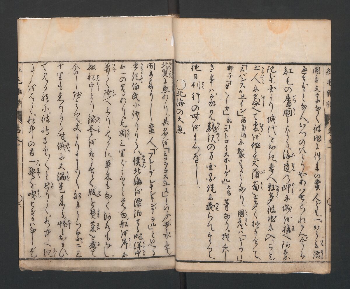 Encyclopedia of Western Art (Kōmō zatsuwa) 紅毛雑話, Morishima Chūryō 森島中 (Japanese, 1754–1810), Ink on paper, Japan