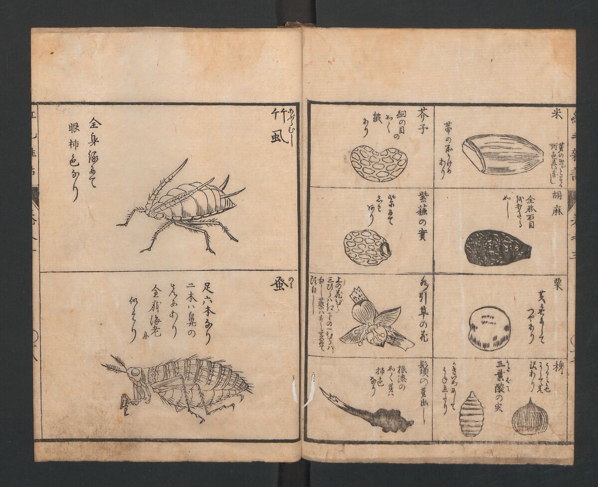 Encyclopedia of Western Art (Kōmō zatsuwa) 紅毛雑話, Morishima Chūryō 森島中 (Japanese, 1754–1810), Ink on paper, Japan