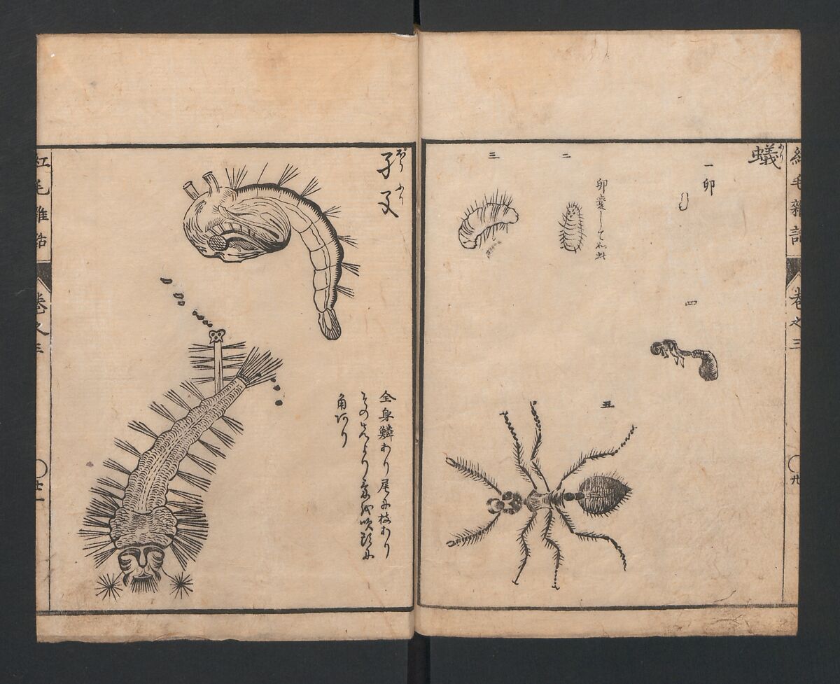 Encyclopedia of Western Art (Kōmō zatsuwa) 紅毛雑話, Morishima Chūryō 森島中 (Japanese, 1754–1810), Ink on paper, Japan