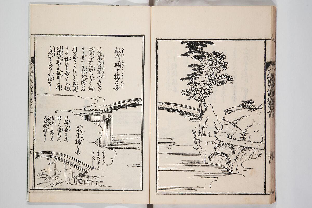 Illustrated Book of Floral Arrangements in the Mishō Style, Mishōsai Kōho (Japanese, 1791–1861), Monochrome woodblock printed book, Japan