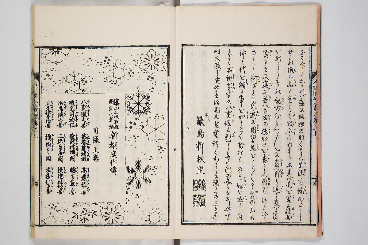 Illustrated Book of Floral Arrangements in the Mishō Style, Mishōsai Kōho (Japanese, 1791–1861), Monochrome woodblock printed book, Japan