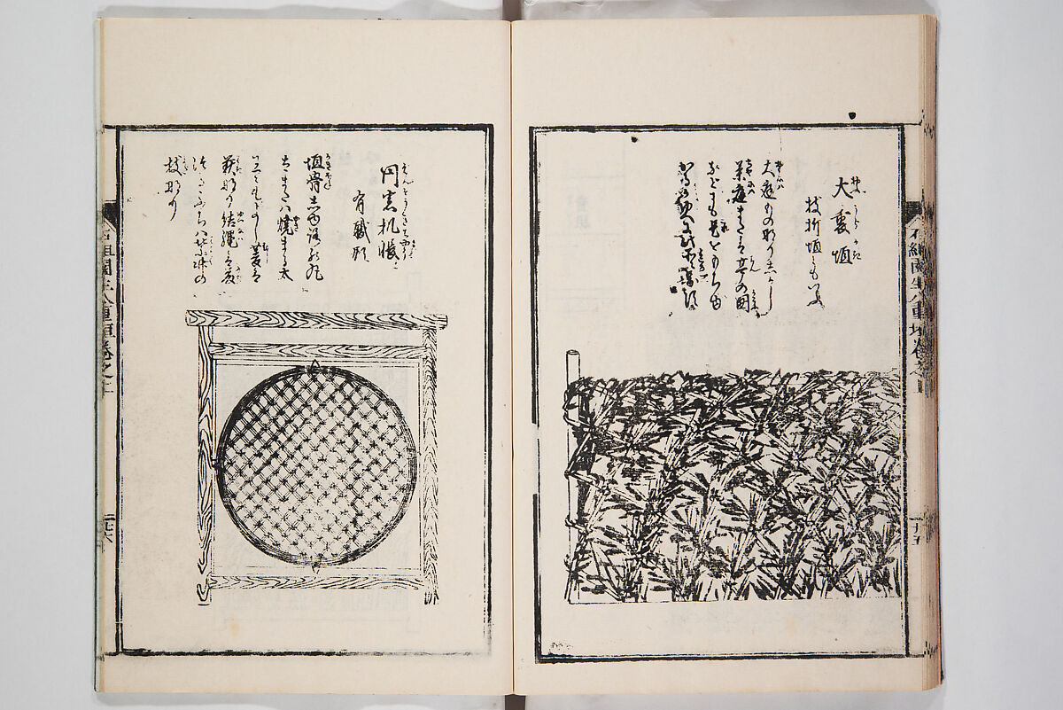 Illustrated Book of Floral Arrangements in the Mishō Style, Mishōsai Kōho (Japanese, 1791–1861), Monochrome woodblock printed book, Japan