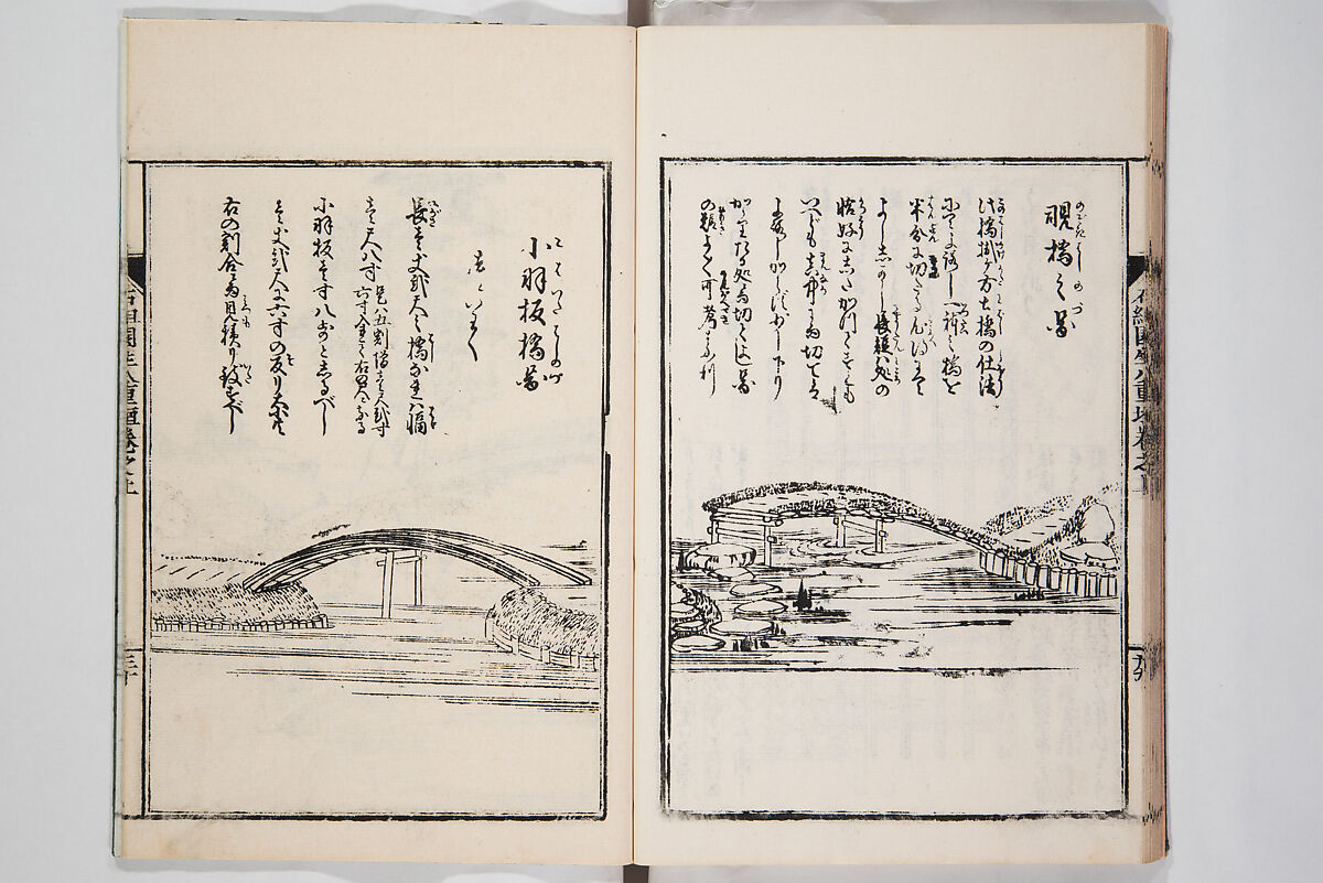 Illustrated Book of Floral Arrangements in the Mishō Style, Mishōsai Kōho (Japanese, 1791–1861), Monochrome woodblock printed book, Japan