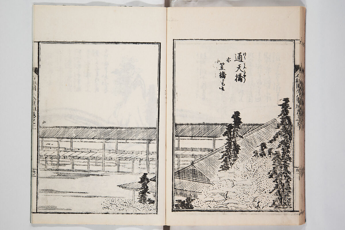 Illustrated Book of Floral Arrangements in the Mishō Style, Mishōsai Kōho (Japanese, 1791–1861), Monochrome woodblock printed book, Japan