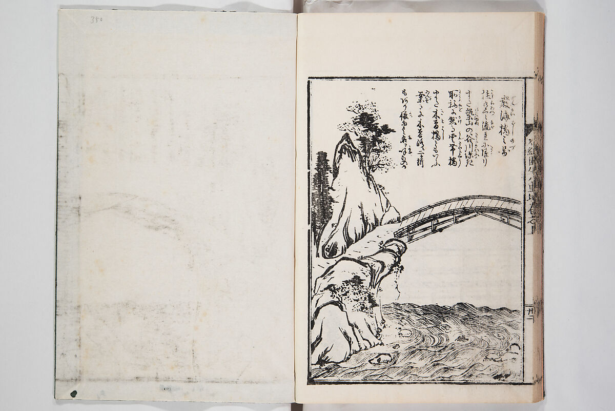 Illustrated Book of Floral Arrangements in the Mishō Style, Mishōsai Kōho (Japanese, 1791–1861), Monochrome woodblock printed book, Japan