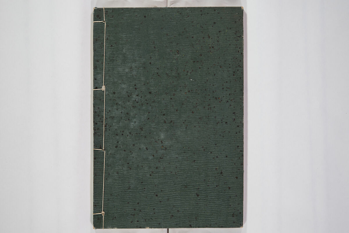 Illustrated Book of Floral Arrangements in the Mishō Style, Mishōsai Kōho (Japanese, 1791–1861), Monochrome woodblock printed book, Japan