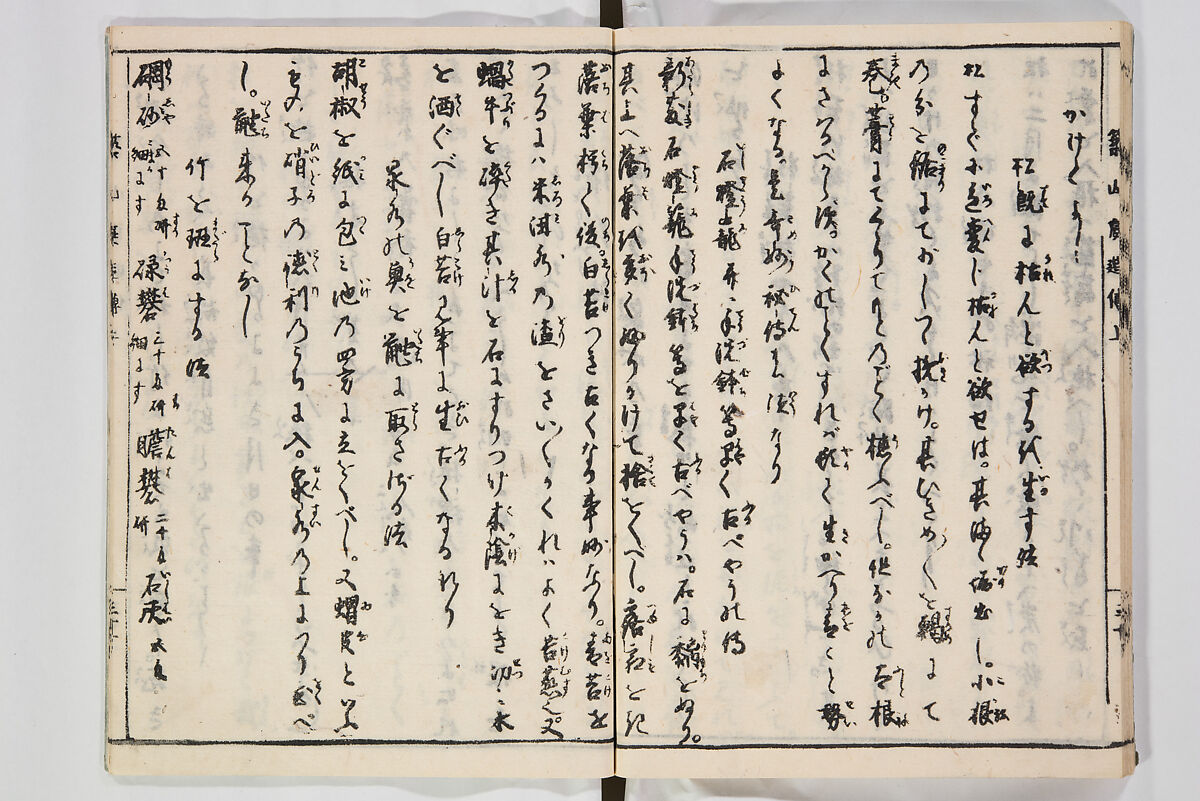 Illustrated Book of Floral Arrangements in the Mishō Style, Mishōsai Kōho (Japanese, 1791–1861), Monochrome woodblock printed book, Japan