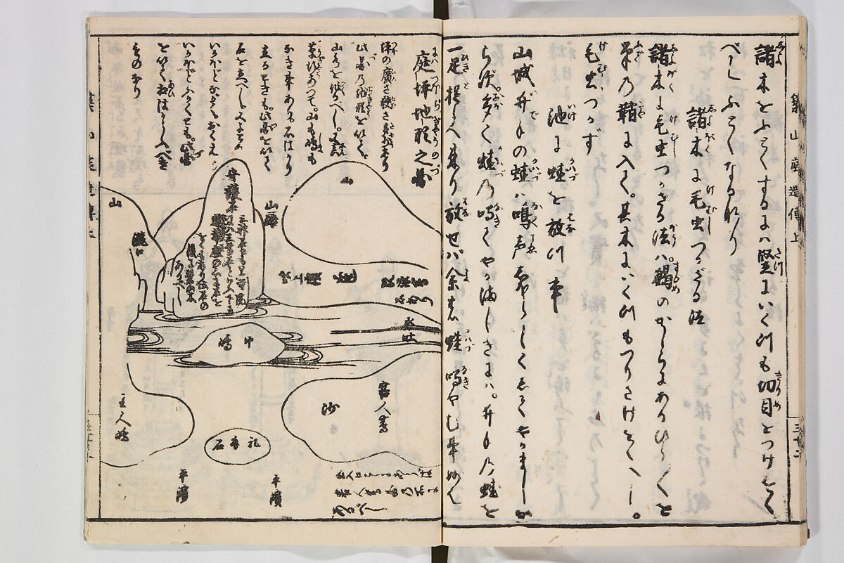 Illustrated Book of Floral Arrangements in the Mishō Style, Mishōsai Kōho (Japanese, 1791–1861), Monochrome woodblock printed book, Japan