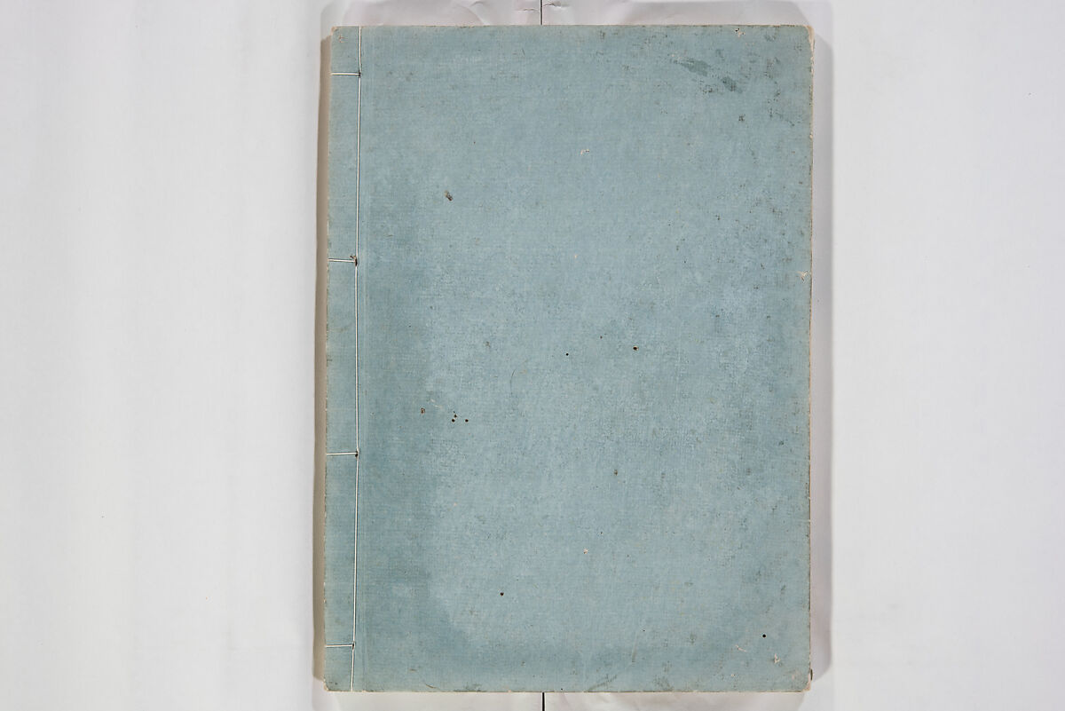 Illustrated Book of Floral Arrangements in the Mishō Style, Mishōsai Kōho (Japanese, 1791–1861), Monochrome woodblock printed book, Japan