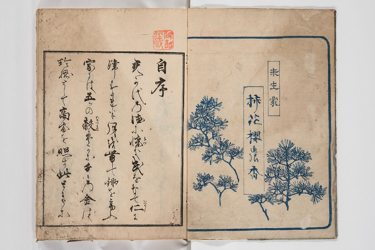 Illustrated Book of Floral Arrangements in the Mishō Style, Mishōsai Kōho (Japanese, 1791–1861), Monochrome woodblock printed book, Japan