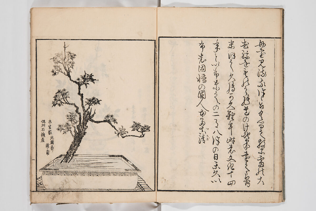 Illustrated Book of Floral Arrangements in the Mishō Style, Mishōsai Kōho (Japanese, 1791–1861), Monochrome woodblock printed book, Japan