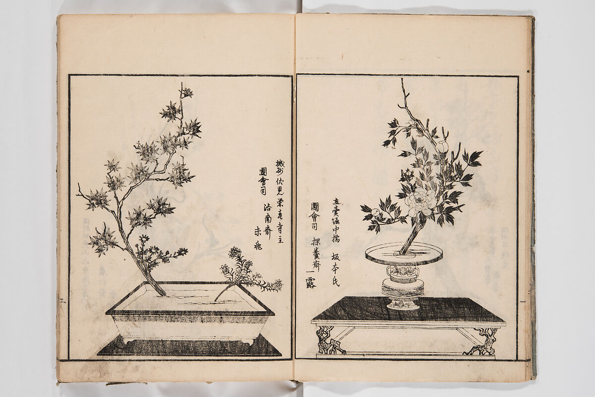 Illustrated Book of Floral Arrangements in the Mishō Style, Mishōsai Kōho (Japanese, 1791–1861), Monochrome woodblock printed book, Japan