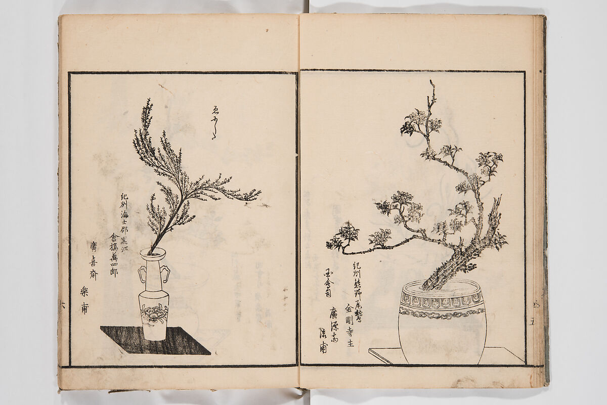Illustrated Book of Floral Arrangements in the Mishō Style, Mishōsai Kōho (Japanese, 1791–1861), Monochrome woodblock printed book, Japan