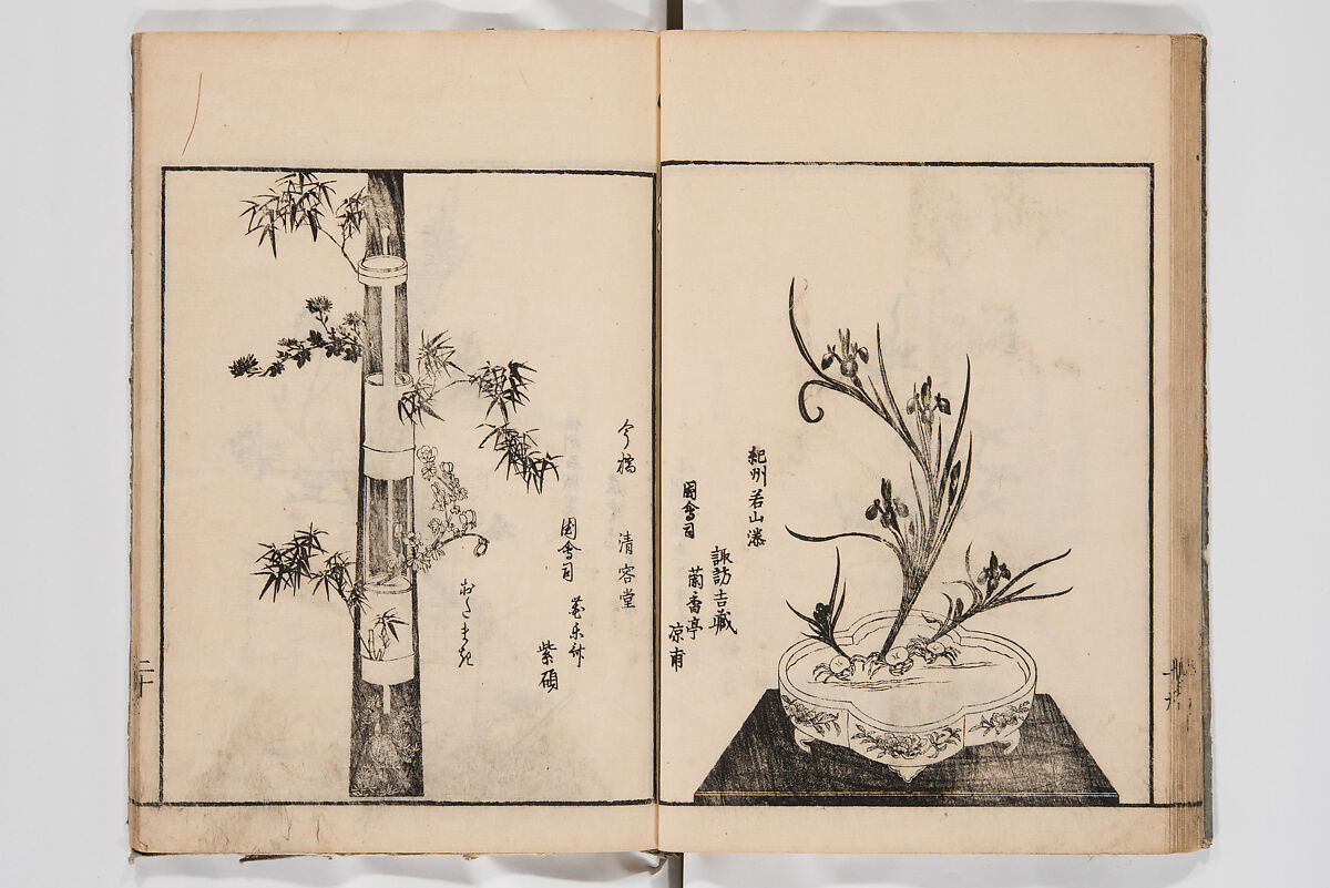 Illustrated Book of Floral Arrangements in the Mishō Style, Mishōsai Kōho (Japanese, 1791–1861), Monochrome woodblock printed book, Japan
