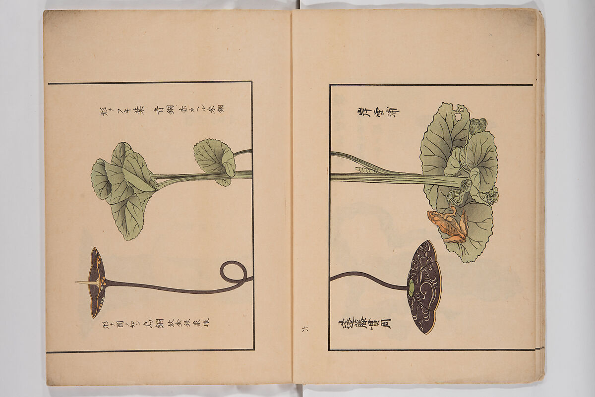 Illustrated Book of Floral Arrangements in the Mishō Style, Mishōsai Kōho (Japanese, 1791–1861), Monochrome woodblock printed book, Japan
