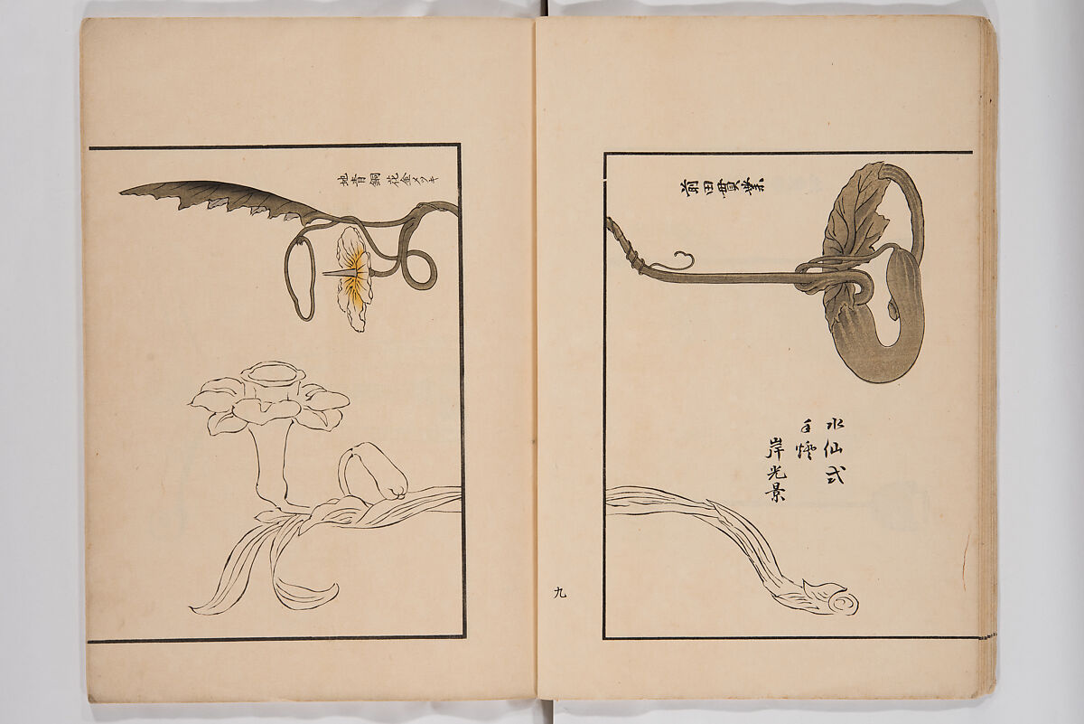 Illustrated Book of Floral Arrangements in the Mishō Style, Mishōsai Kōho (Japanese, 1791–1861), Monochrome woodblock printed book, Japan