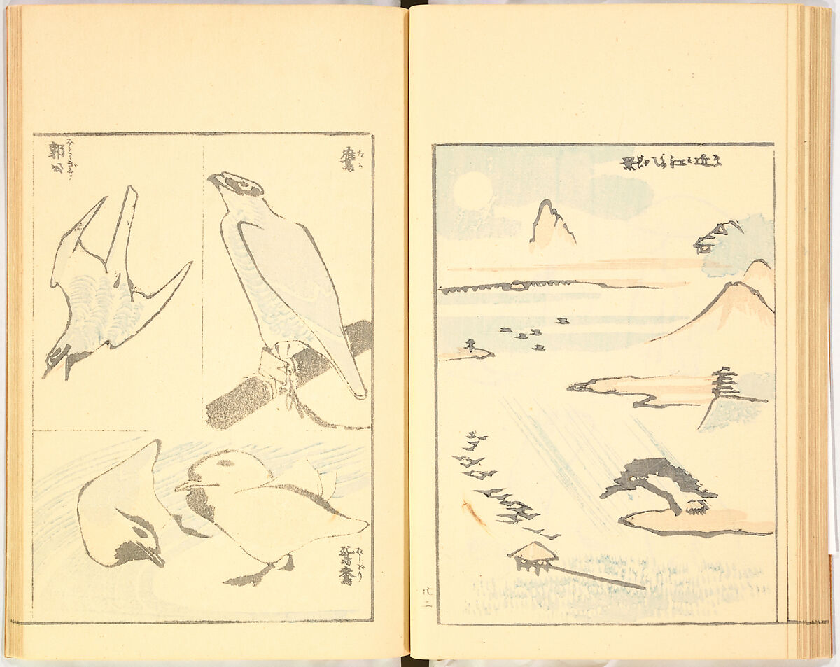 Illustrated Book, Katsushika Hokusai (Japanese, Tokyo (Edo) 1760–1849 Tokyo (Edo)), Ink on paper, Japan