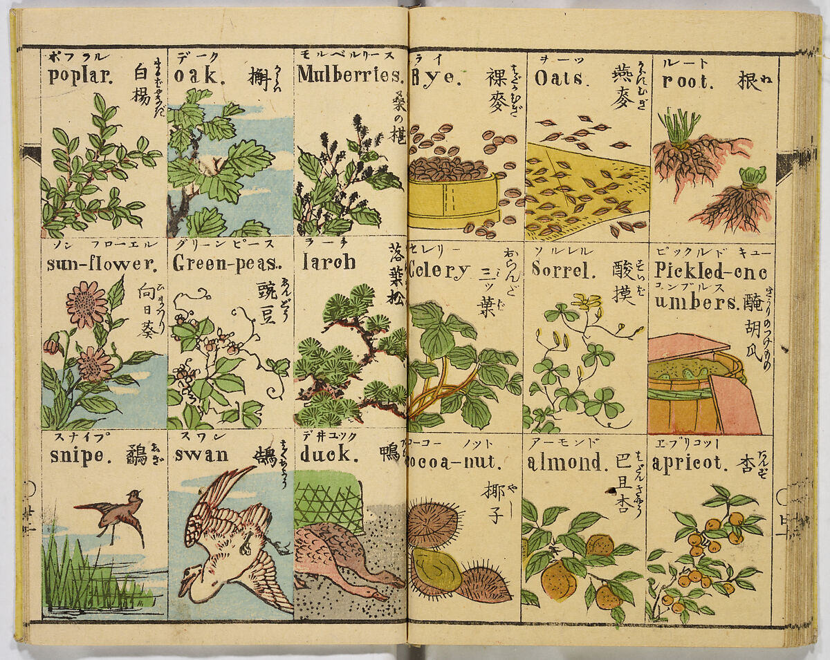 English Study, Ink and color on paper, Japan