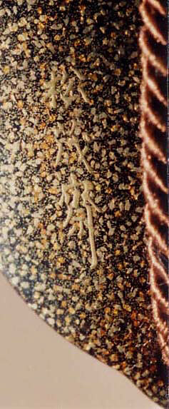 Inrō with Seven Horses by a River, Five cases; lacquered wood with gold and silver togidashimaki-e, hiramaki-e, gold and silver foil application on black groundNetsuke: man in a bamboo grove; carved woodOjime: ivory bead, Japan