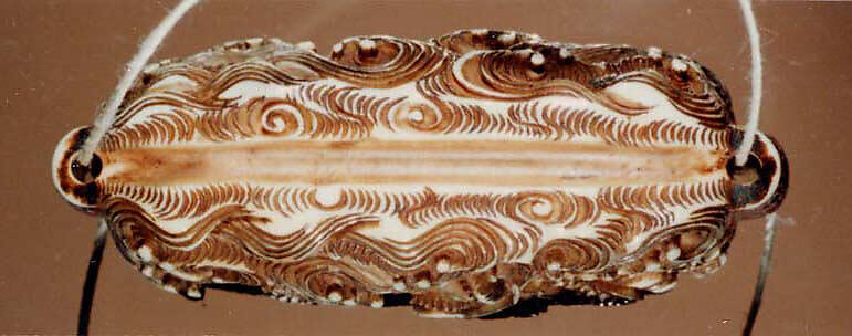 Case (Inrō) with Design of Dragon among Clouds and Waves, Lacquer, ivory, carved relief, incised, stained silver blue; Interior: roiro, Japan