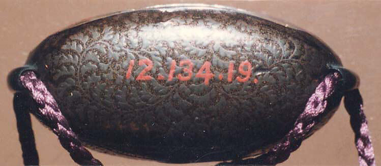 Case (Inrō) with Design of Dragon (obverse); Tiger (reverse), Lacquer, roiro, brown, black, red and gold hiramakie,  applied metal; Interior: nashiji and fundame, Japan