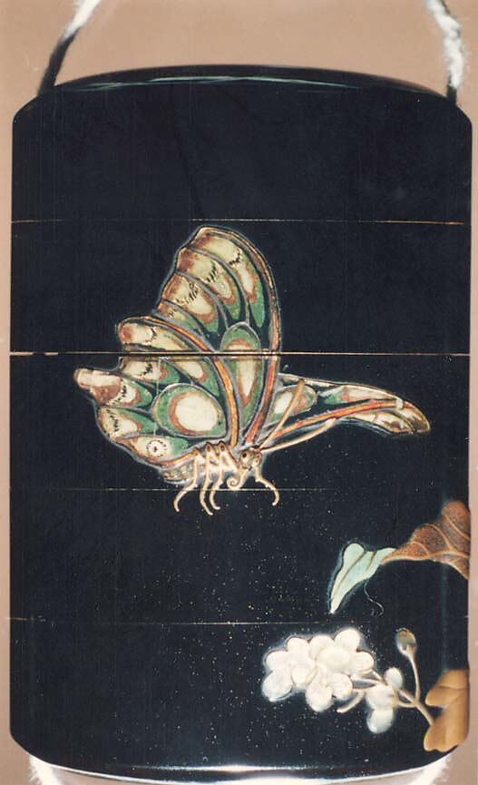 Case (Inrō) with Design of Moth and Butterflies beside Flowering Mustard Plant, Lacquer, roiro, gold takamakie, ceramic, raden inlay; Interior: nashiji and fundame, Japan