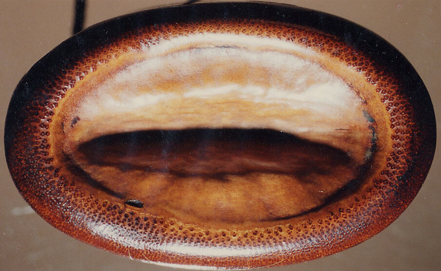 Case (Inrō) with Design of Horse and Autumn Grasses, Shibata Zeshin (Japanese, 1807–1891), Bamboo, black, silver and gold hiramakie, takamakie, wood lid; Interior: plain, Japan