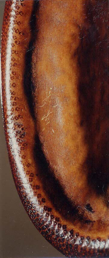 Case (Inrō) with Design of Horse and Autumn Grasses, Shibata Zeshin (Japanese, 1807–1891), Bamboo, black, silver and gold hiramakie, takamakie, wood lid; Interior: plain, Japan