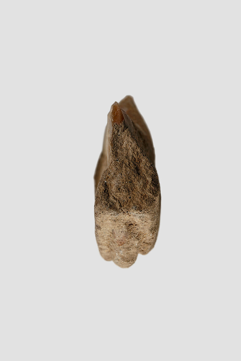 Sickle insert, Flint, adhesive (lime plaster ?)
