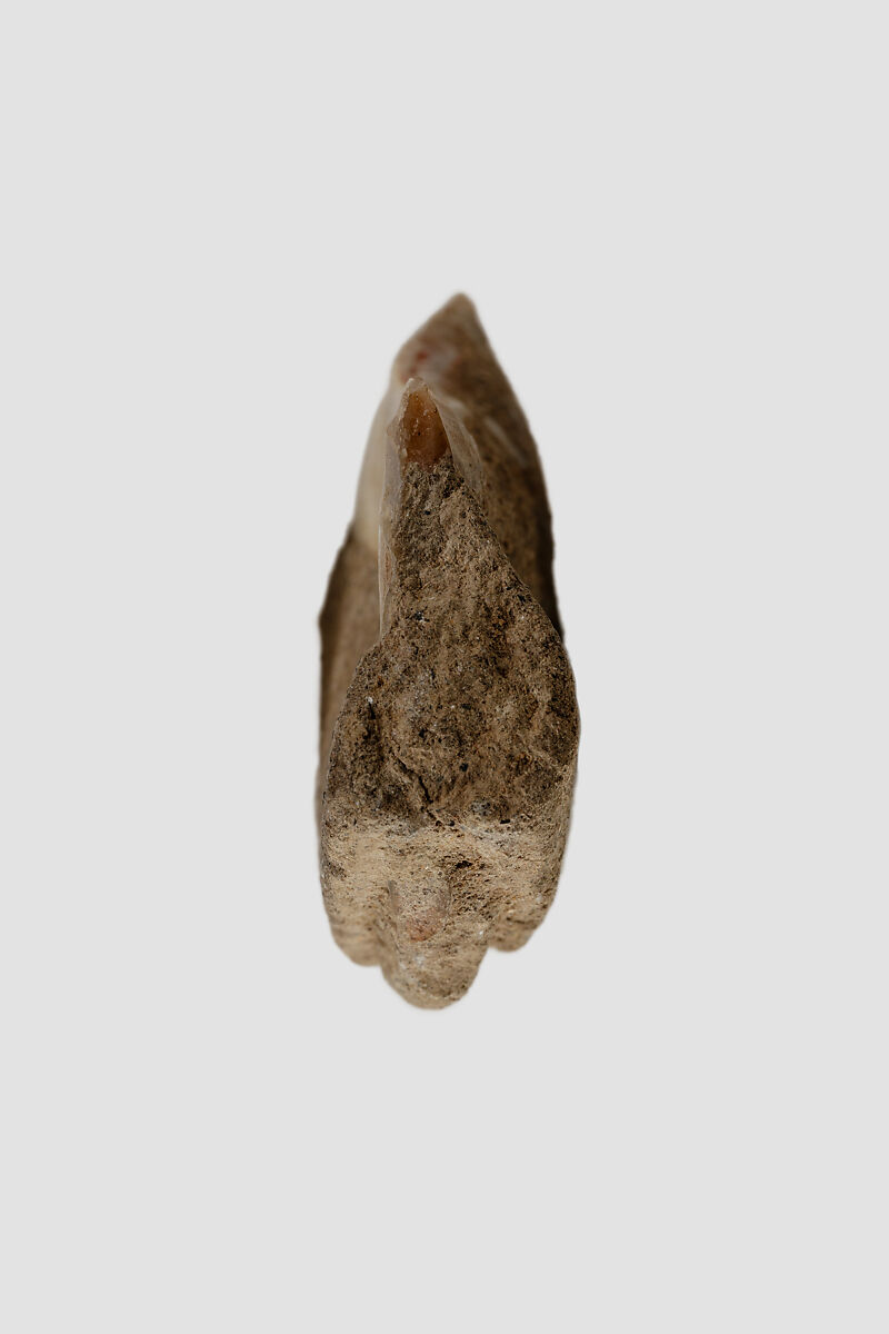Sickle insert, Flint, adhesive (lime plaster ?)