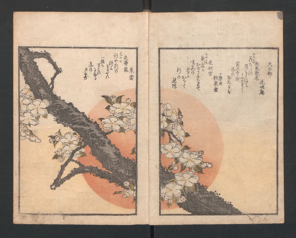 One Hundred Comic Poems of the Flower, One of the Three Friends, Tsuki, the Moon, Yuki, the Snow, and Hana, the Flower (Sansai hana hyakushu) 三才花百首, Totoya Hokkei 魚屋北渓 (Japanese, 1780–1850), Three volumes; ink and color on paper, Japan