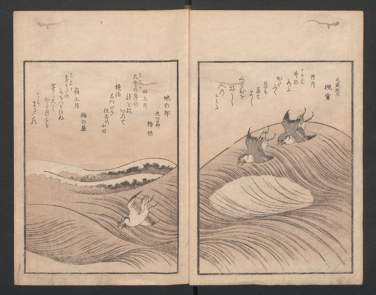 One Hundred Comic Poems of the Flower, One of the Three Friends, Tsuki, the Moon, Yuki, the Snow, and Hana, the Flower (Sansai hana hyakushu) 三才花百首, Totoya Hokkei 魚屋北渓 (Japanese, 1780–1850), Three volumes; ink and color on paper, Japan
