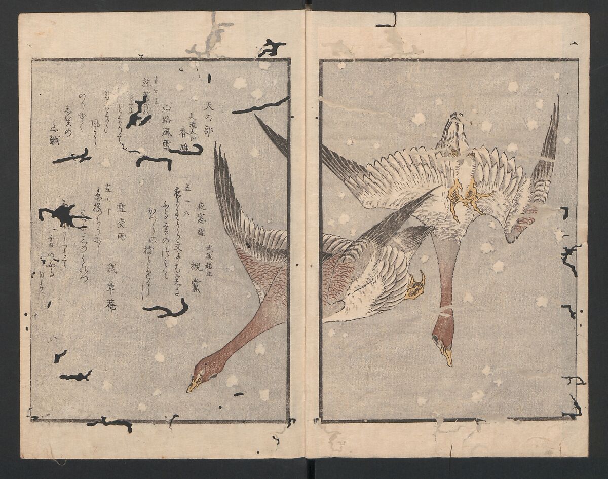 One Hundred Comic Poems of the Flower, One of the Three Friends, Tsuki, the Moon, Yuki, the Snow, and Hana, the Flower (Sansai hana hyakushu) 三才花百首, Totoya Hokkei 魚屋北渓 (Japanese, 1780–1850), Three volumes; ink and color on paper, Japan