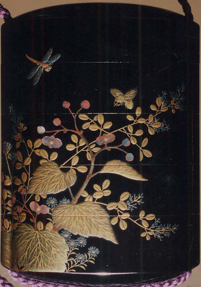 Case (Inrō) with Design of Wildflowers, Dragonflies and Bees, Lacquer, roiro, gold and coloured hiramakie, pink aogai; Interior: fundame, Japan