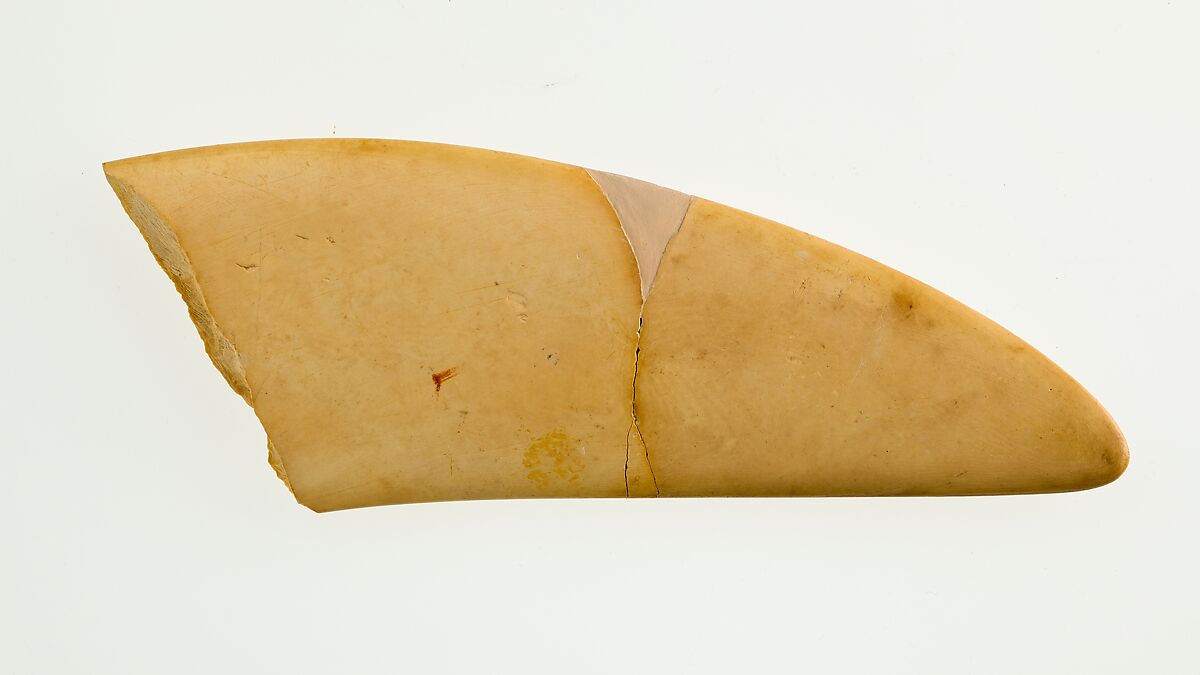 Magic Wand fragment, Hippopotamus ivory