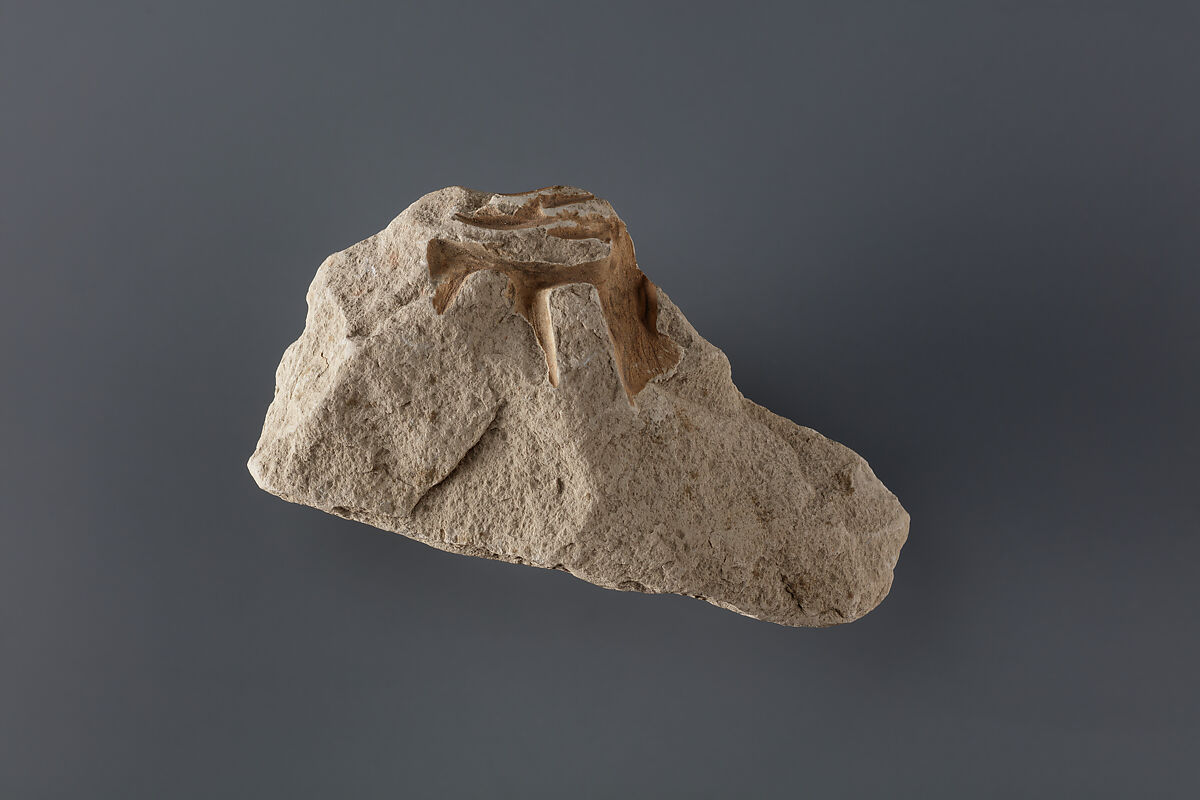 Relief fragment possibly from the tomb of Mereri, Limestone 