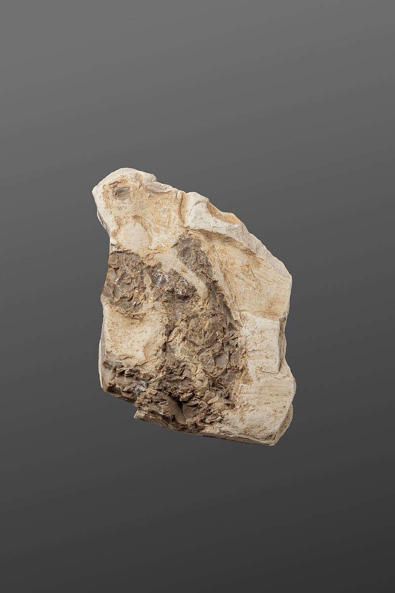 Relief fragment possibly from the tomb of Mereri, Stone