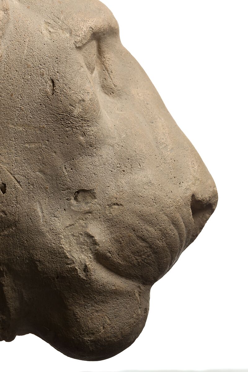 Head of a lion, Gypsum plaster