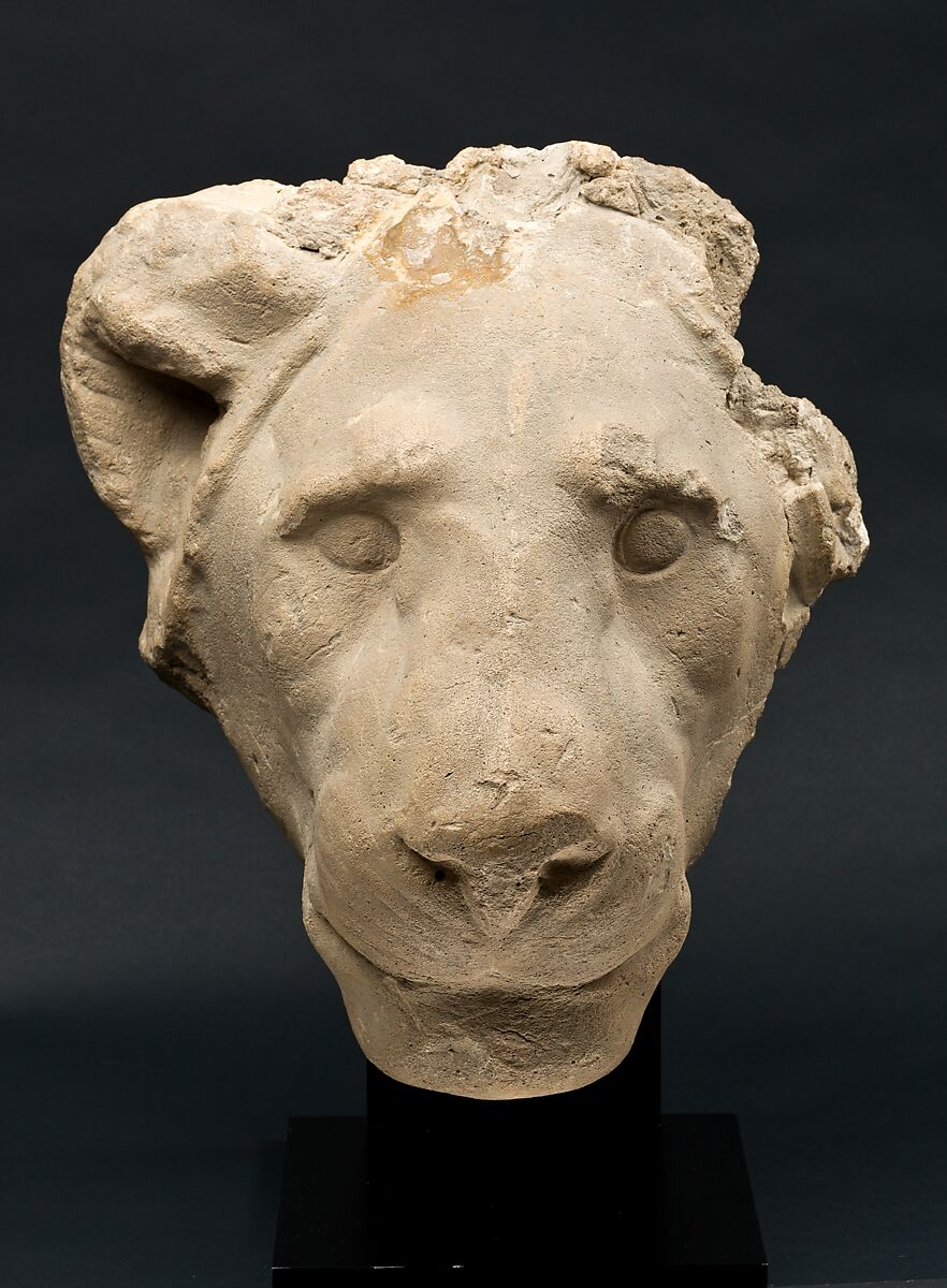 Head of a lion, Gypsum plaster