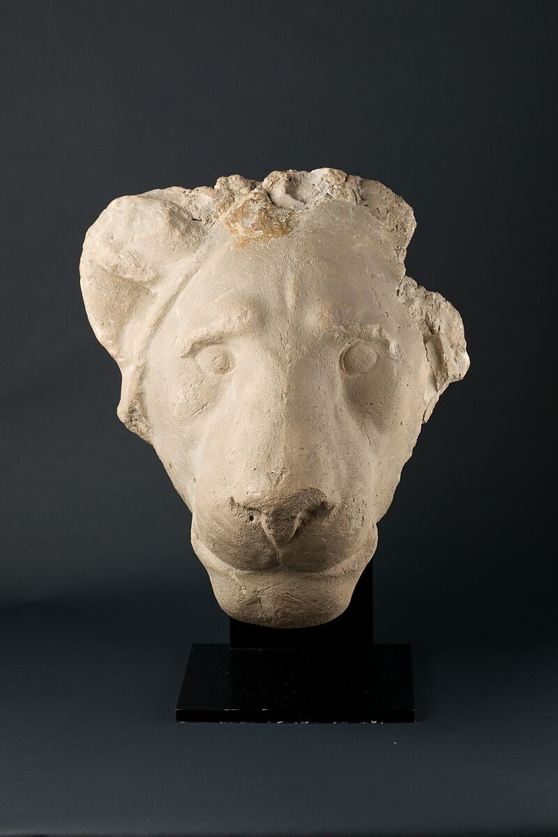 Head of a lion, Gypsum plaster