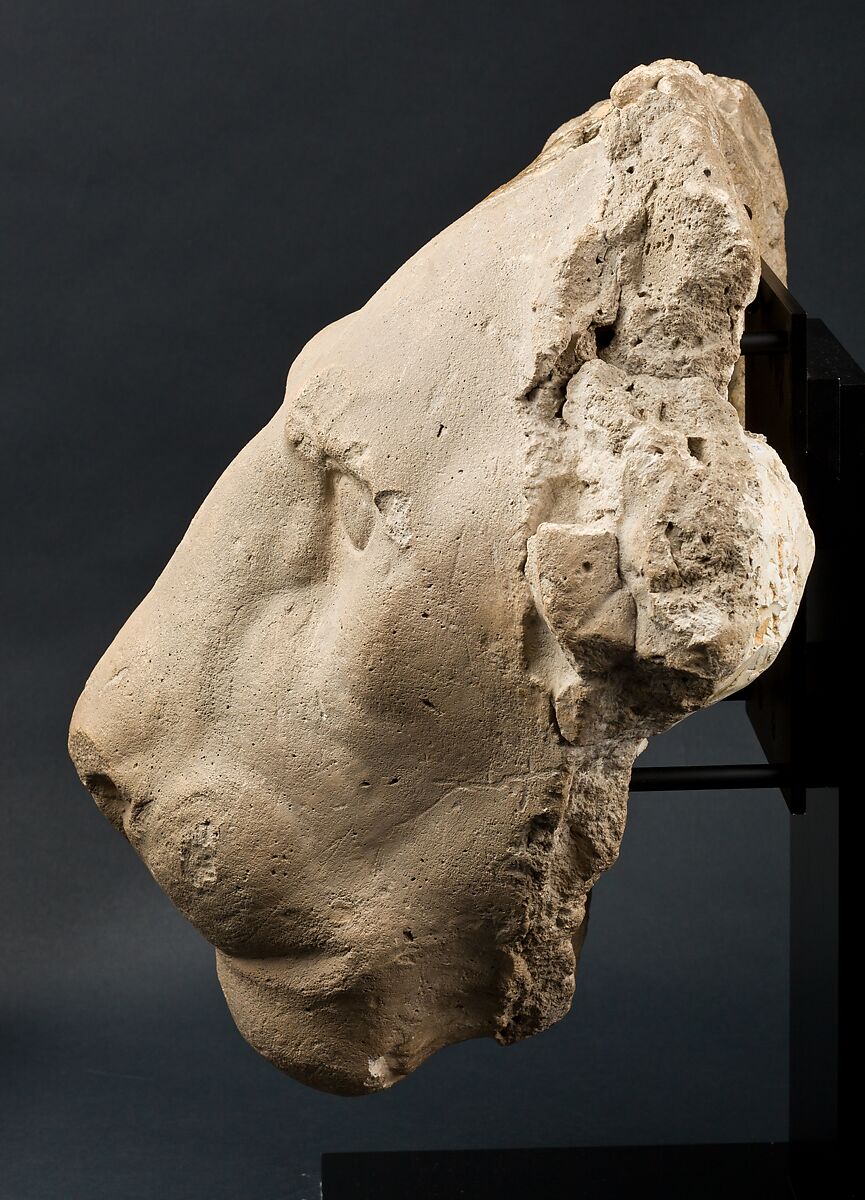 Head of a lion, Gypsum plaster