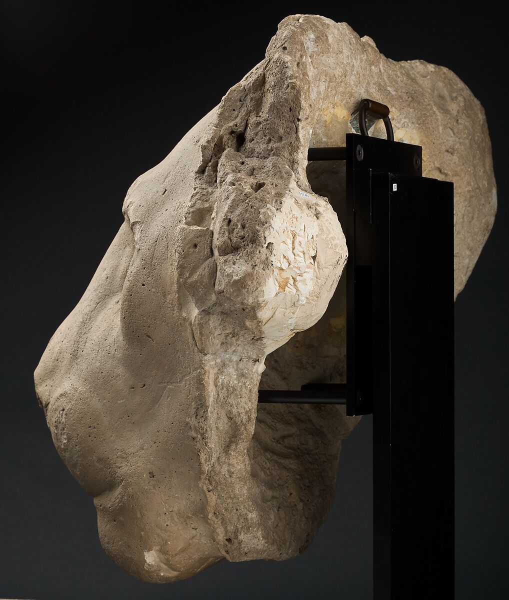 Head of a lion, Gypsum plaster