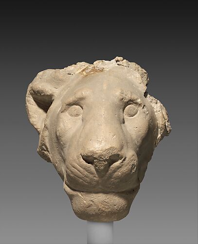 Head of a lion