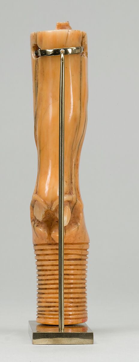 Furniture leg in shape of bull's leg, Hippopotamus ivory