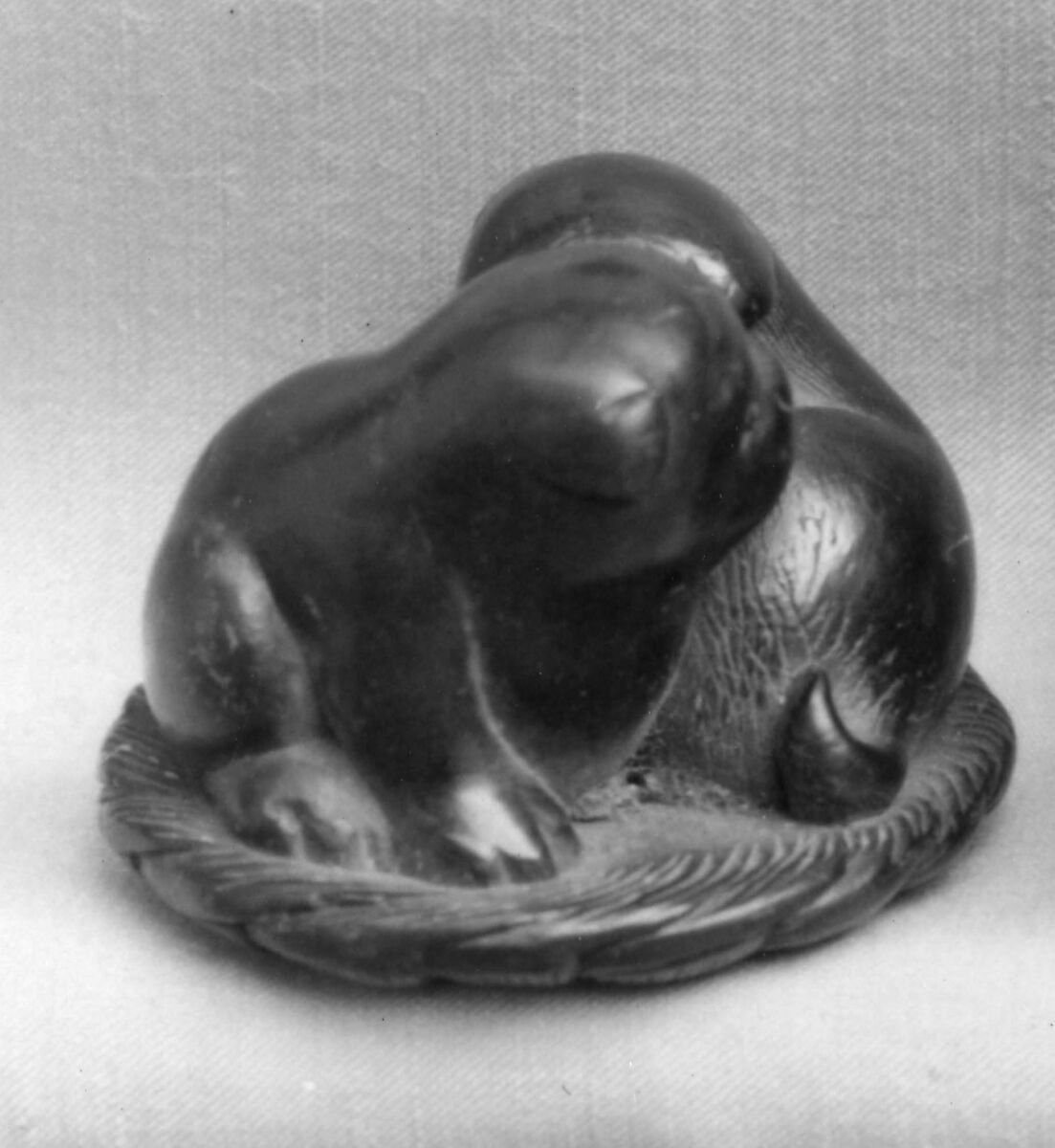 Netsuke of Two Dogs, Wood, Japan