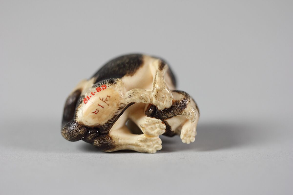 Dogs, Ivory, Japan