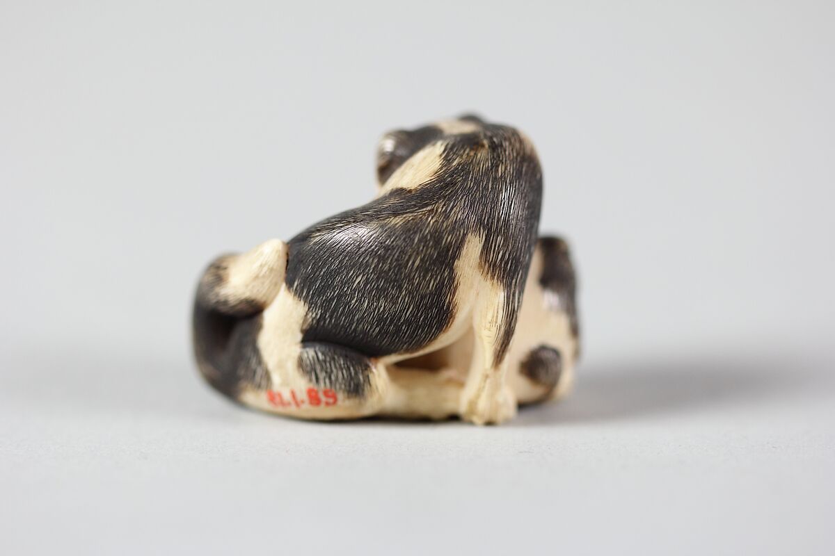 Dogs, Ivory, Japan